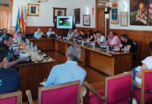 Medio Rural lleva capturadas más de 809.000 reinas de avispón asiático con las 51.000 trampas instaladas desde 2018