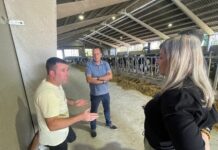 El Gobierno de Asturias ha gestionado 93,1 millones de las ayudas de la PAC 2025, la cantidad más alta de la serie histórica