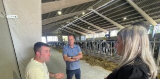 El Gobierno de Asturias ha gestionado 93,1 millones de las ayudas de la PAC 2025, la cantidad más alta de la serie histórica